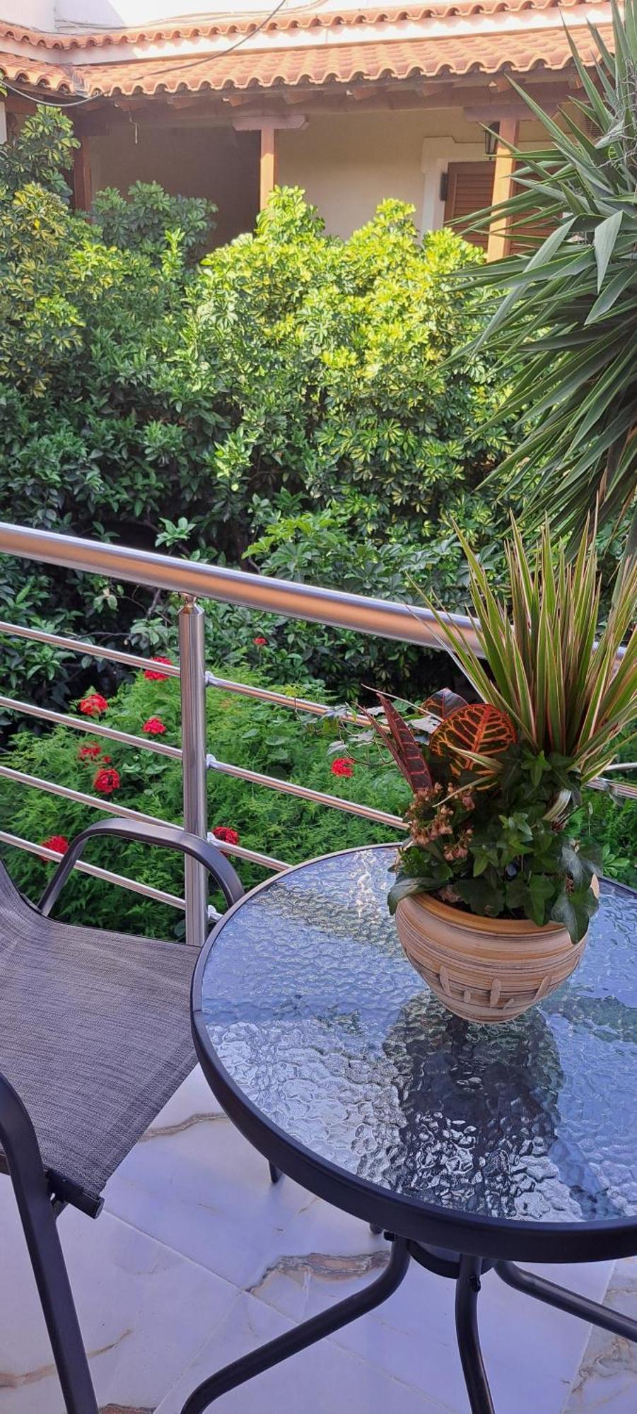 Nopi-zoi 2* Città di Skiathos