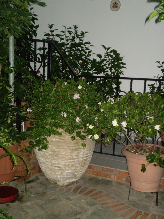 Affittacamere Nopi-zoi 2*