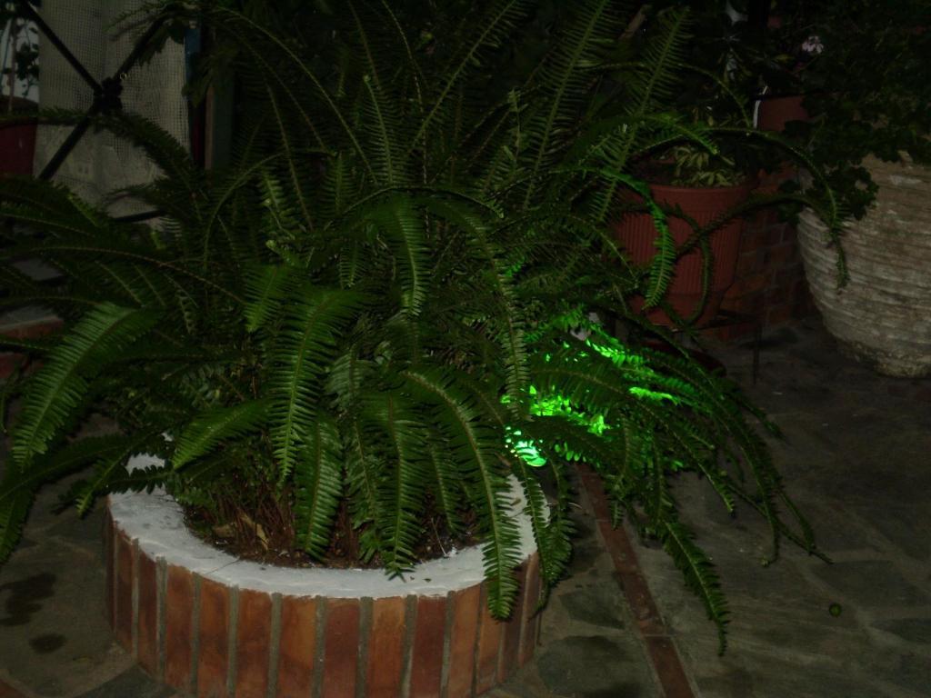 Affittacamere Nopi-zoi 2*
