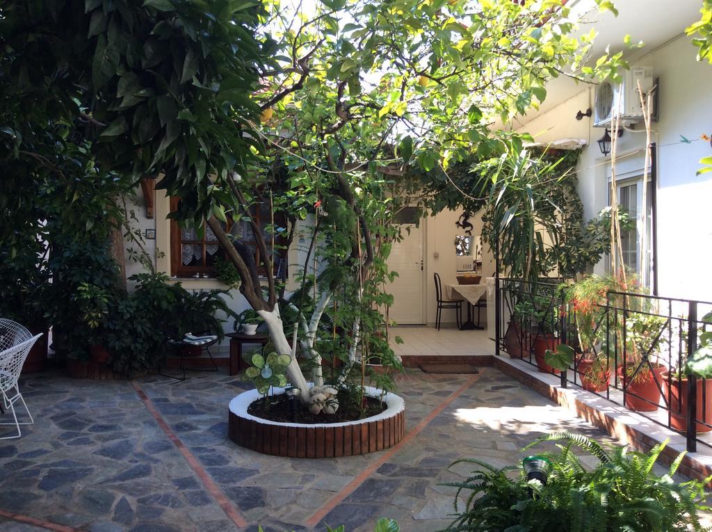 Nopi-zoi Affittacamere Città di Skiathos